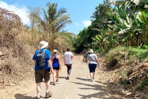 From Praia: Banana Plantation Tour and Cuscuz Workshop