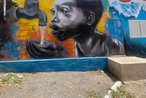 De Praia : Excursion dans la ville de Praia et la vieille ville avec dégustation