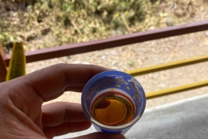 De Praia : Excursion dans la ville de Praia et la vieille ville avec dégustation