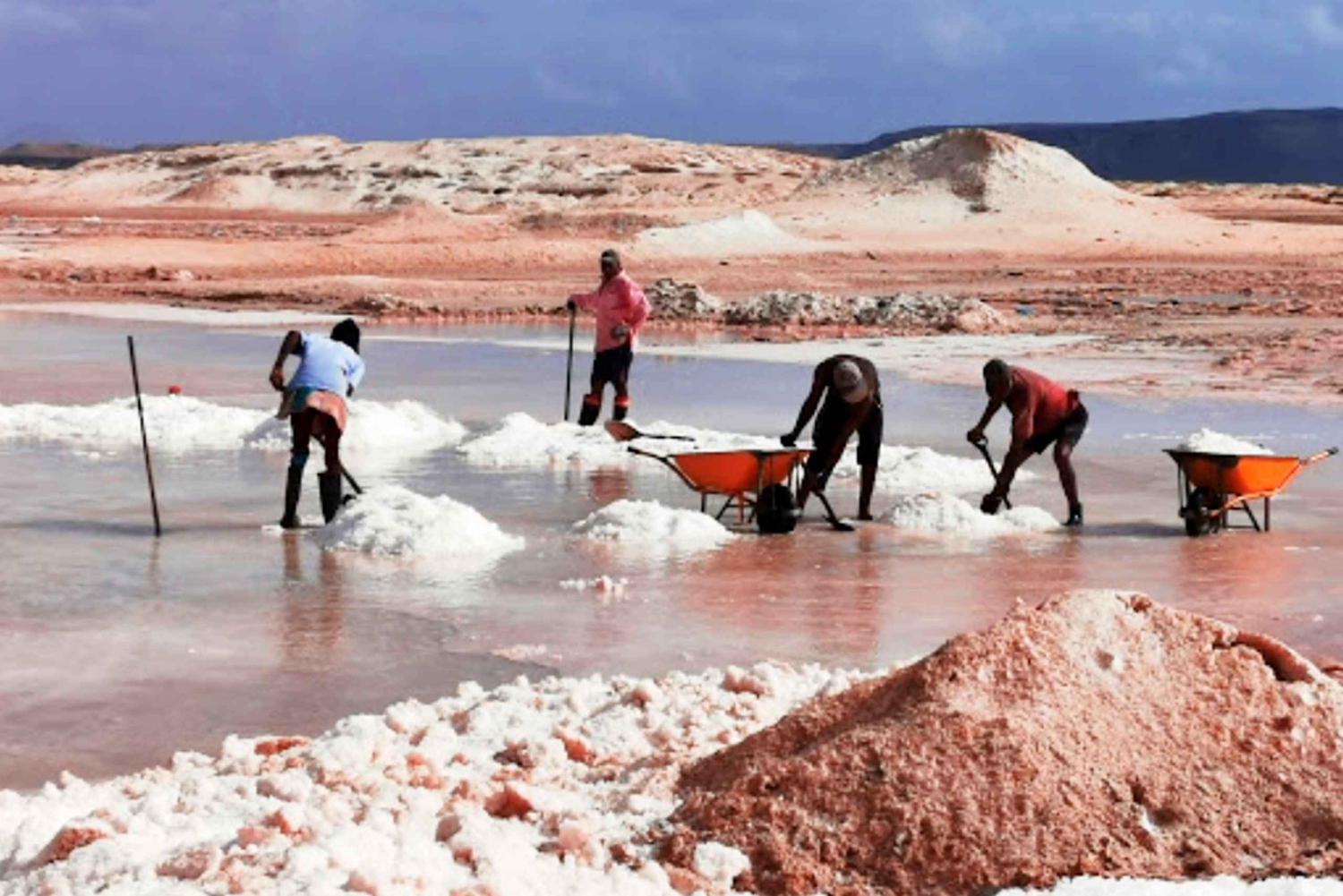 From Praia: Full-Day Sal Island Tour