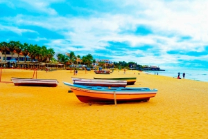 Från Praia: En heldagstur på ön Sal