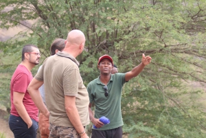 From Praia: Full-Day Sal Island Tour