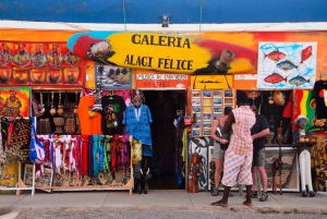 From Praia: Full-Day Sal Island Tour