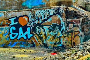 From Praia: Full-Day Sal Island Tour