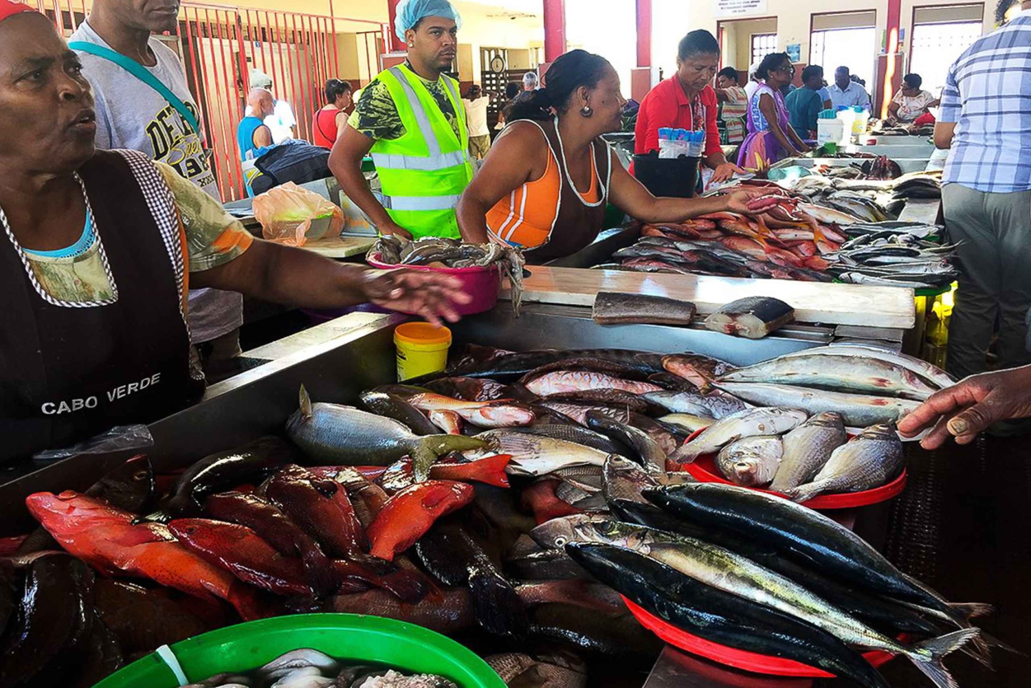 Из Прайи: экскурсия на целый день по острову Сан-Висенте