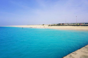 From Praia: Private Full-Day Trip to Maio Island