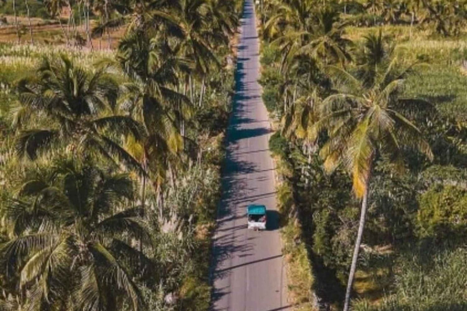 From Praia: Santiago Highlights Private Sightseeing Day Trip