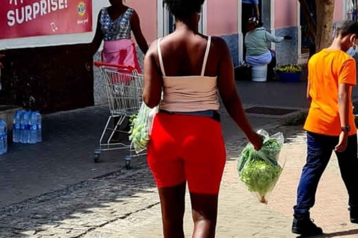 From Praia: Santiago Highlights Private Sightseeing Day Trip