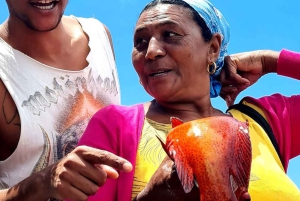 From Praia: Santiago Highlights Private Sightseeing Day Trip