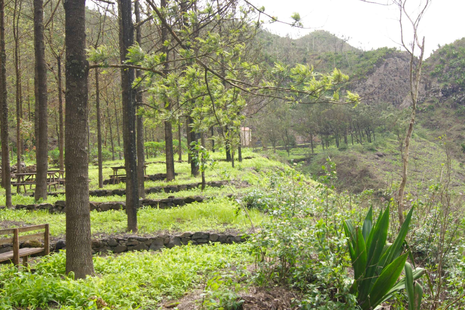 Praiasta: Santiago-saaren koko päivän kiertue lounaalla
