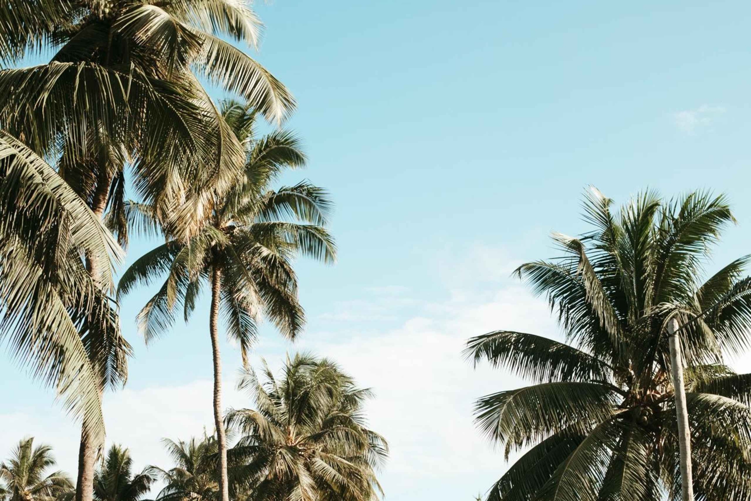 Praiasta: Santiago-saaren koko päivän kiertue lounaalla