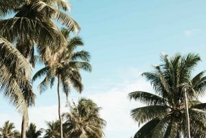 Z Praia: całodniowa wycieczka po wyspie Santiago z lunchem
