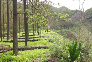 Praiasta: Santiago-saaren koko päivän kiertue lounaalla