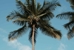 Praiasta: Santiago-saaren koko päivän kiertue lounaalla