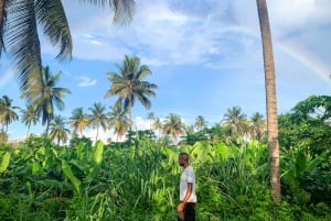 From Praia: Santiago Island Highlights Tour