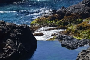 Z wyspy Sal: Błękitne Oko, Słone Jezioro, Rekiny cytrynowe, Palmeira