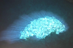 Von der Insel Sal: Blaues Auge, Salzsee, Zitronenhaie, Palmeira