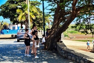 サル島発：ブルーアイ、塩湖、レモンシャーク、パルメイラ