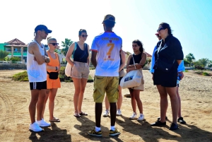 Dall'Isola di Sal: Occhio Blu, Lago Salato, Squali Limone, Palmeira