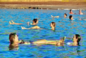 Salin saarelta: Sininen silmä, suolajärvi, sitruunahait, Palmeira