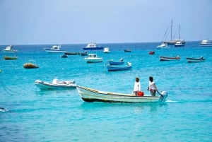 From Santa Maria: Sal Island Private Day Trip