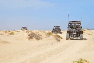 From Santa Maria: Two-Hour 4WD Buggy Desert Adventure