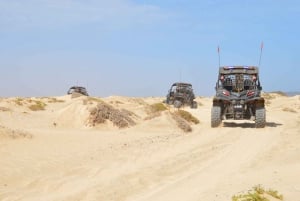 From Santa Maria: Two-Hour 4WD Buggy Desert Adventure
