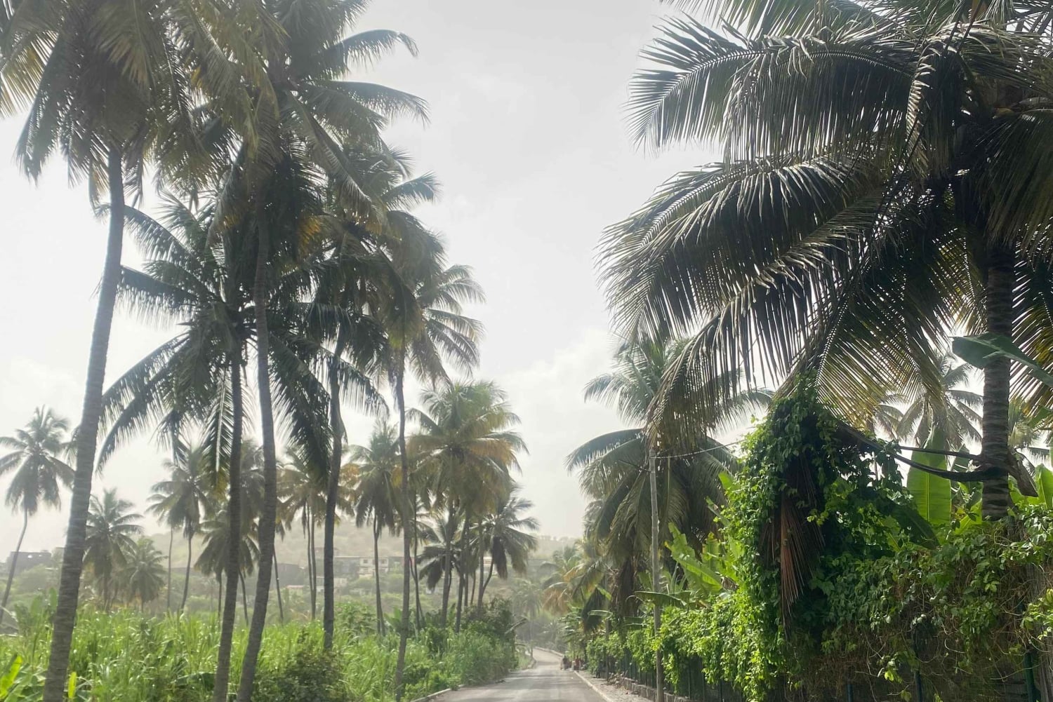 From the beach: a full-day tour in Santiago. Culture, Nature, and Beaches with a Guide