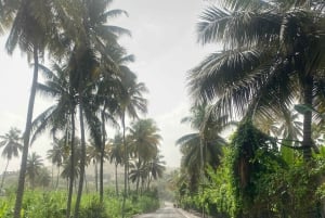 From the beach: a full-day tour in Santiago. Culture, Nature, and Beaches with a Guide