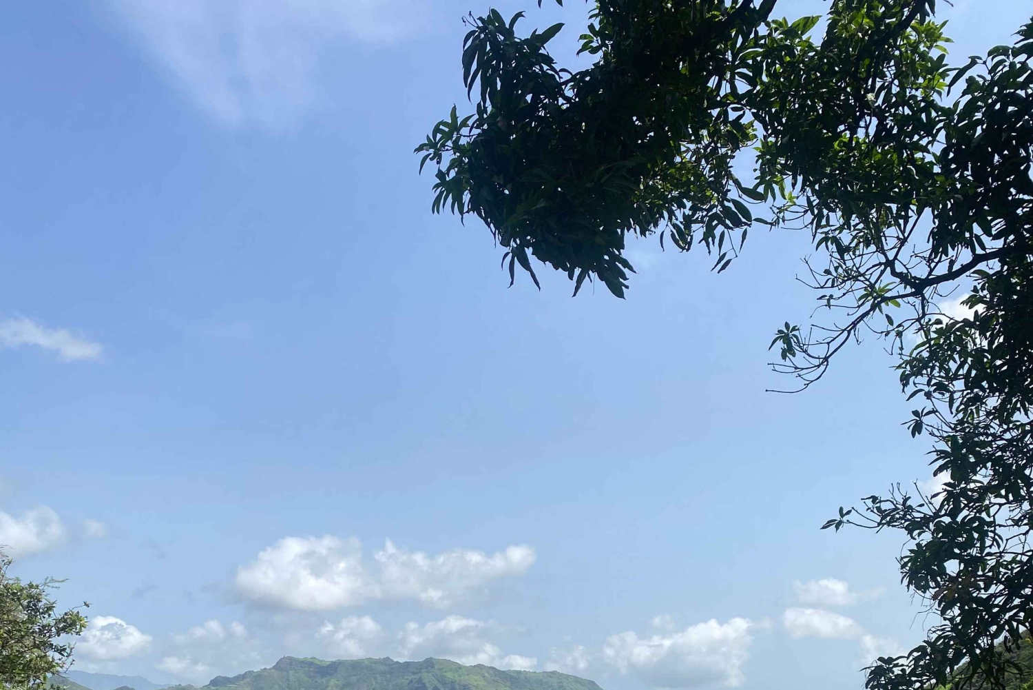 Vanaf het strand: Trekking Natuurpark Rui Vaz - Longueira - Botanische Tuin