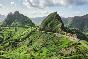 Vanaf het strand: Trekking Natuurpark Rui Vaz - Longueira - Botanische Tuin
