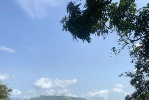 Vanaf het strand: Trekking Natuurpark Rui Vaz - Longueira - Botanische Tuin