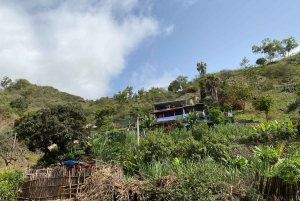 Vanaf het strand: Trekking Natuurpark Rui Vaz - Longueira - Botanische Tuin