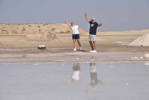 Excursão de 1 dia em privado na Ilha do Sal