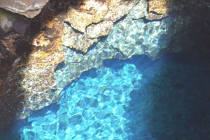 Excursão de 1 dia em privado na Ilha do Sal