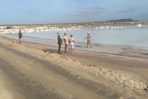 Excursão de 1 dia em privado na Ilha do Sal