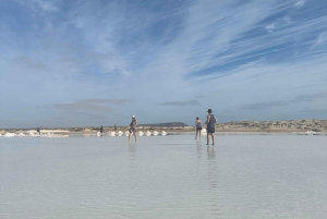 Excursão de 1 dia em privado na Ilha do Sal