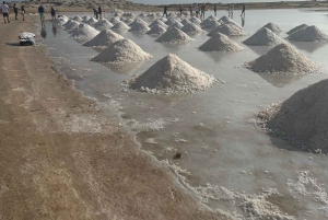 Excursão de 1 dia em privado na Ilha do Sal