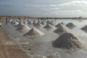 Excursão de 1 dia em privado na Ilha do Sal
