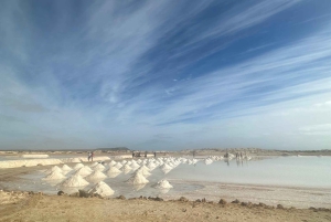 Excursão de 1 dia em privado na Ilha do Sal