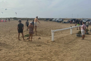 Excursão de 1 dia em privado na Ilha do Sal