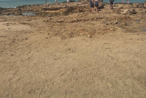 Excursão de 1 dia em privado na Ilha do Sal