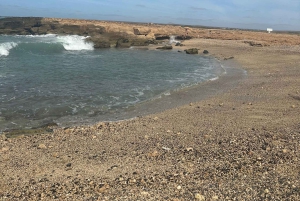 Excursão de 1 dia em privado na Ilha do Sal