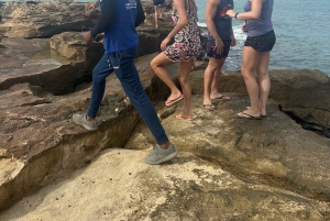 Excursão de 1 dia em privado na Ilha do Sal