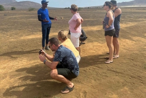 Excursão de 1 dia em privado na Ilha do Sal