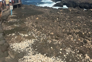 Excursão de 1 dia em privado na Ilha do Sal