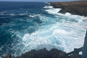 Excursão de 1 dia em privado na Ilha do Sal
