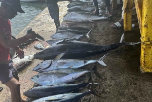 Excursão de 1 dia em privado na Ilha do Sal