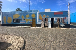 Excursão de 1 dia em privado na Ilha do Sal