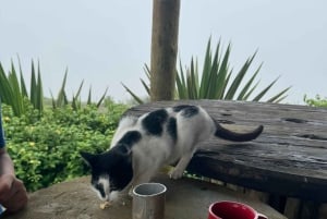 Excursión de un día completo: los puntos destacados de São Vicente y Mindelo